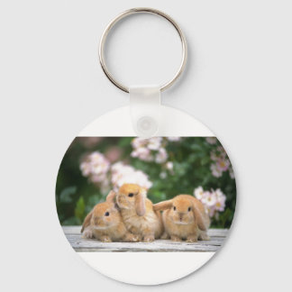 loving rabbits keychain