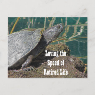 Loving Retired Life Humorous Turtle Photo Funny Postcard