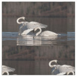 Loving Swans Fabric