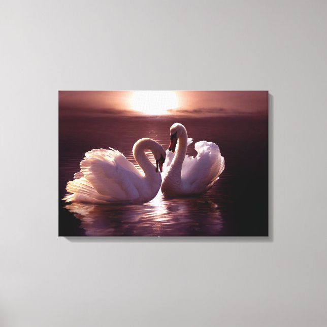 Loving Swans Forming a Heart Canvas Print (Front)