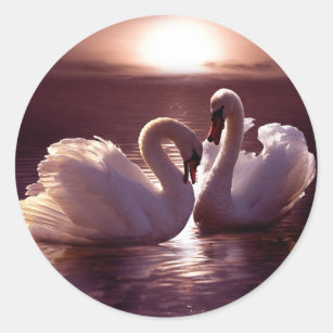 Loving Swans Forming a Heart Classic Round Sticker