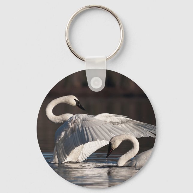 Loving Swans Keychain (Front)