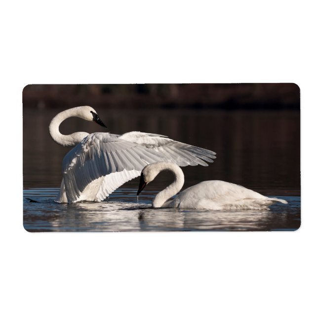 Loving Swans Label (Front)