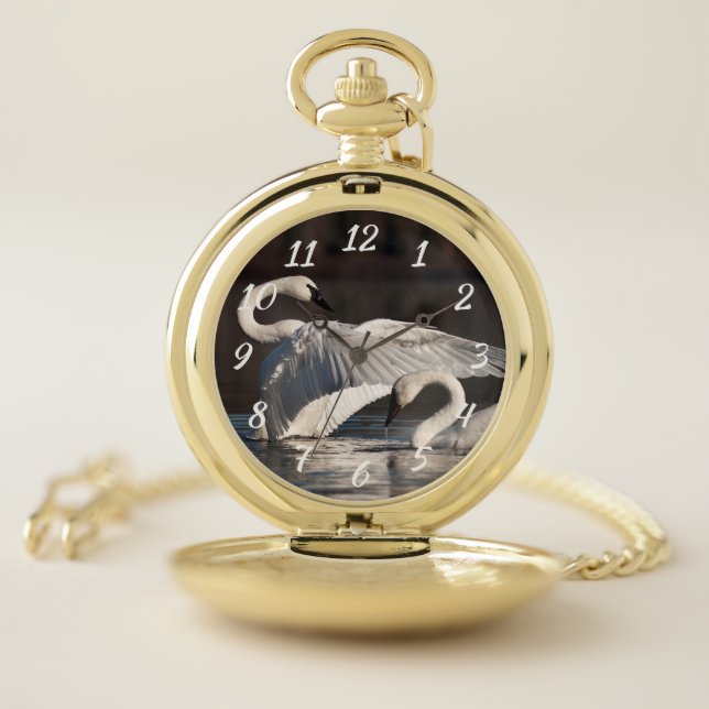Loving Swans Pocket Watch (Inside)