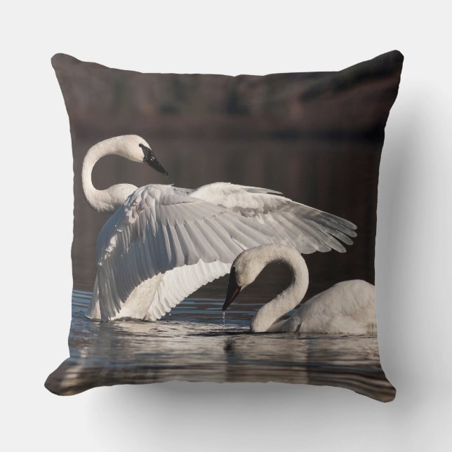 Loving Swans Throw Pillow (Front)