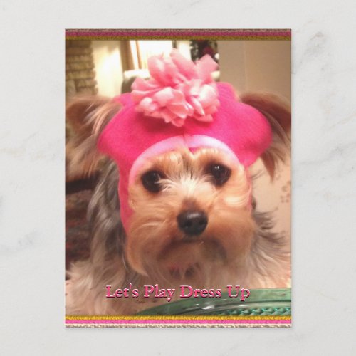 Loving Yorkies in Hats Postcard