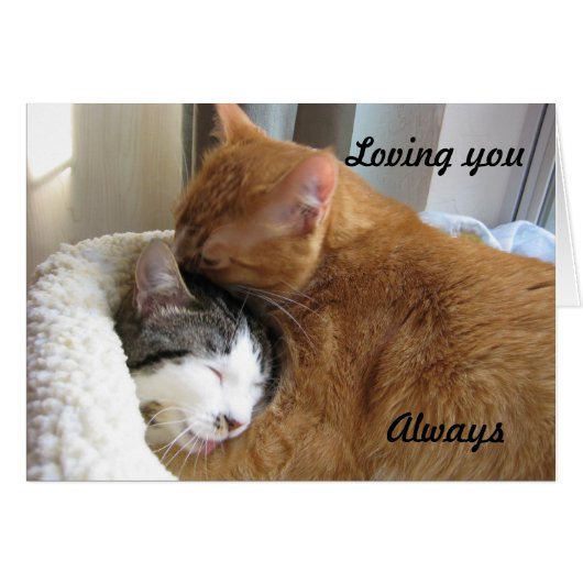 Loving you, Always 036 Cards (Front Horizontal)