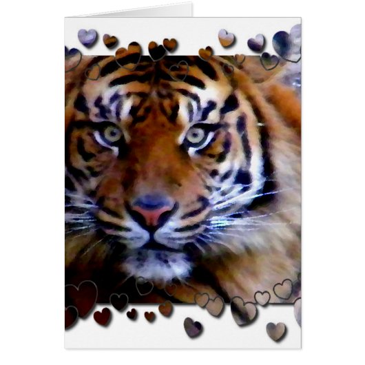 Loving You_ Cards (Front)