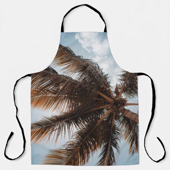LOW-ANGLE PHOTO OF COCONUT TREE APRON (Front)