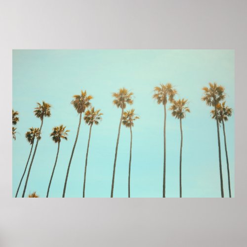 Low angle photography coconut tree poster