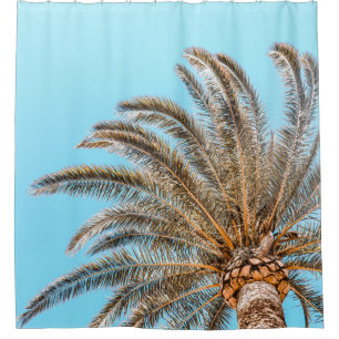 Low-angle photography of a green palm tree under a shower curtain