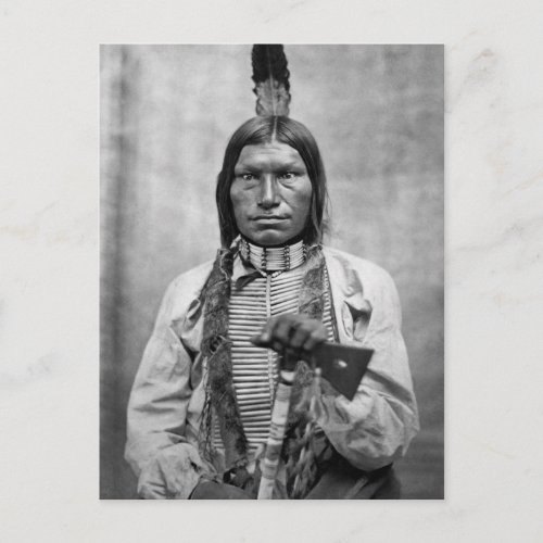 Low Dog _ Native American vintage photo Postcard