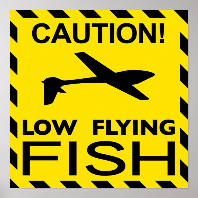 "Low Flying Fish" Poster (Front)