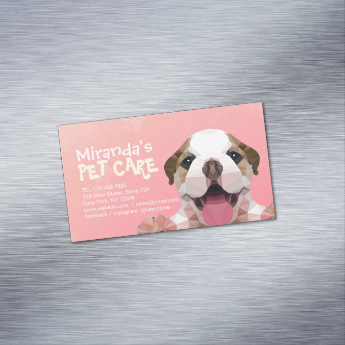 pet care grooming