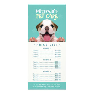 Low Poly Dog Pet Care Grooming Bathing Price List Rack Card