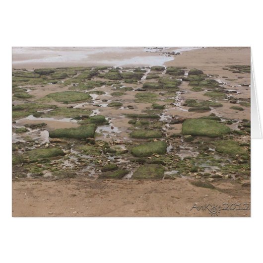 Low Tide 2 Cards (Front Horizontal)