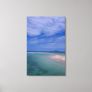 Low tide at the beach canvas print