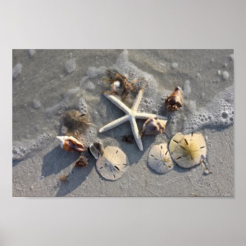 Low Tide Beach Treasures Poster