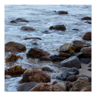 Malibu Posters | Zazzle