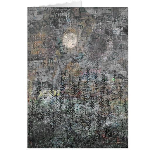 Low Winter Sun (Front)