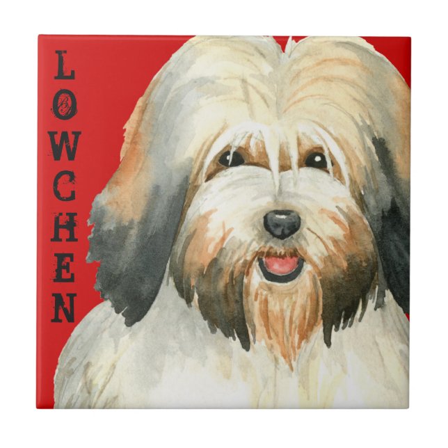 Lowchen Color Block Ceramic Tile (Front)