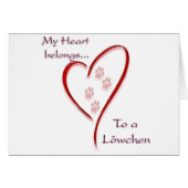 Löwchen Heart Belongs (Front Horizontal)
