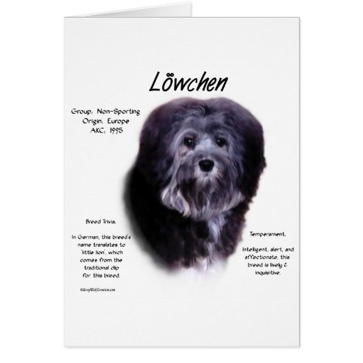 Löwchen History Design Cards (Front)