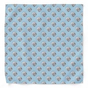 Lowchen Painting - Cute Original Dog Art Bandana