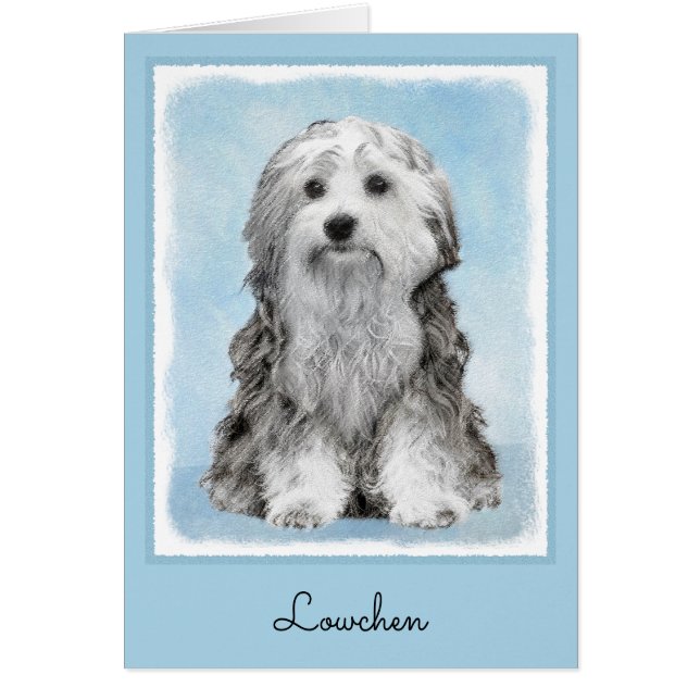 Lowchen Painting - Cute Original Dog Art Cards (Front)