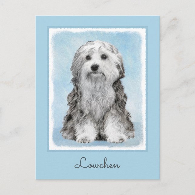 Lowchen Painting - Cute Original Dog Art Postcard (Front)