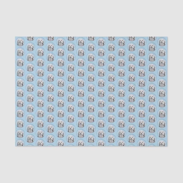 Lowchen Painting - Cute Original Dog Art Tissue Paper (Front)
