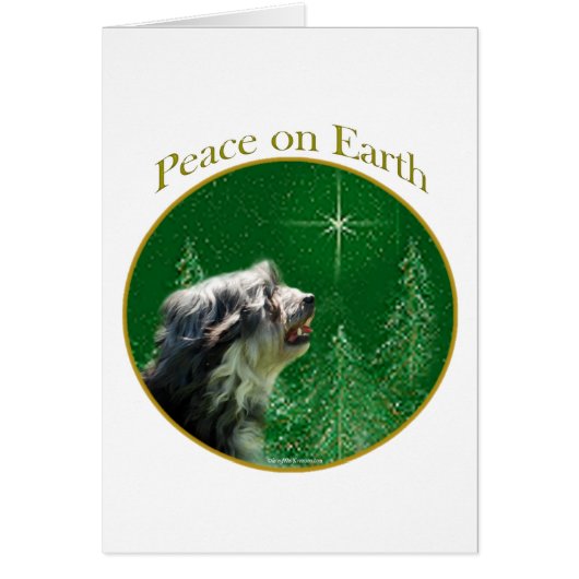 Lowchen Peace Cards (Front)