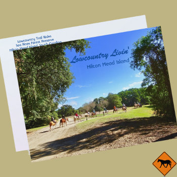Lowcountry Horse Trail Rides Hilton Head Island Sc Postcard by Sozo4all at Zazzle