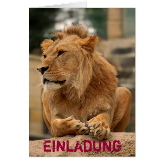 Löwe mit Punkerfrisur Cards (Front)