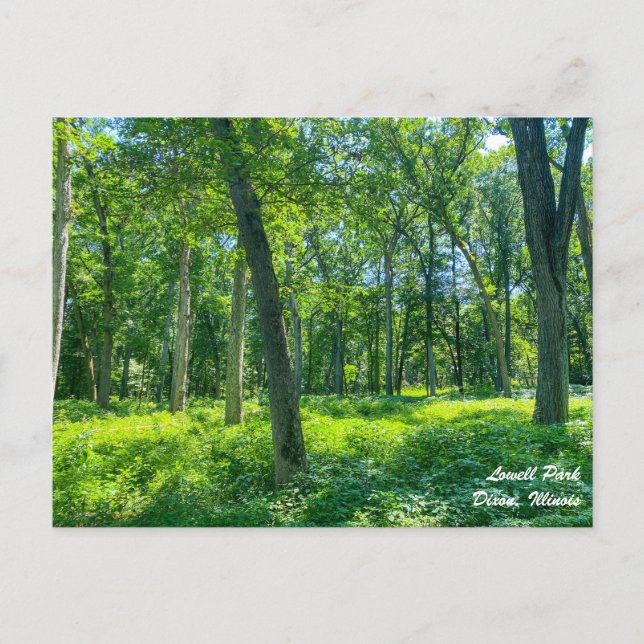 Lowell Park Dixon Illinois Postcard (Front)
