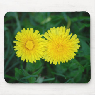 Löwenzahn/Dotterblume Mouse Pad