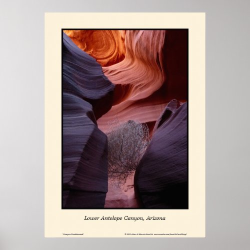Lower Antelope Canyon Arizona Tumbleweed Southwest Poster
