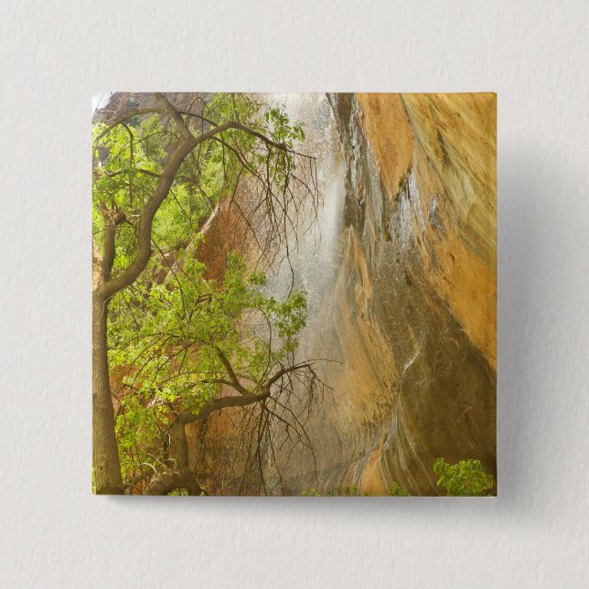 Lower Emerald Pool Waterfall Red rock and Tree Pinback Button (Front)
