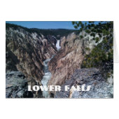Lower Falls (Front Horizontal)