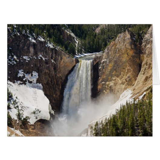 Lower Falls of the Yellowstone Cards (Front Horizontal)