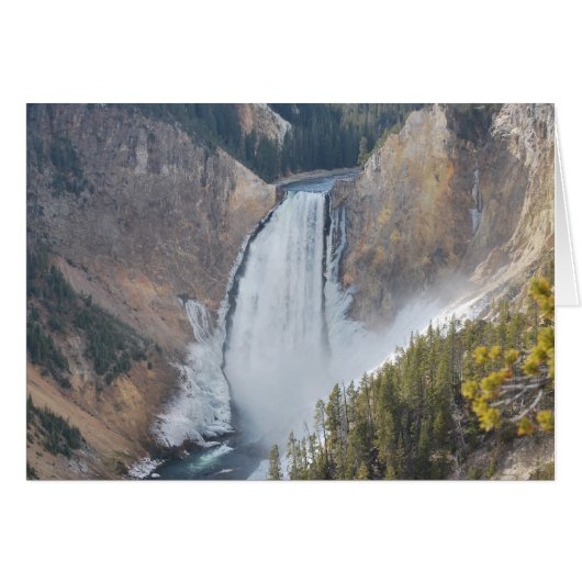 Lower Falls of the Yellowstone Cards (Front Horizontal)