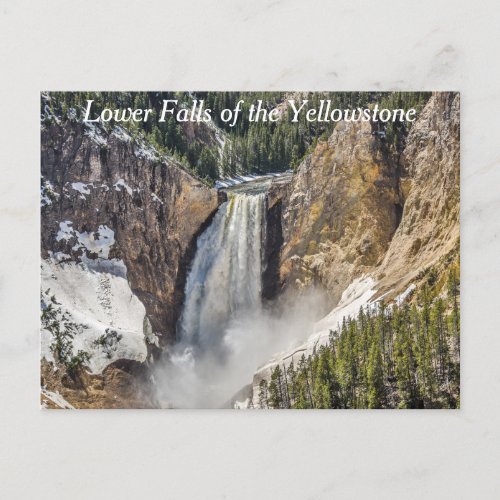 Lower Falls of the Yellowstone Postcard