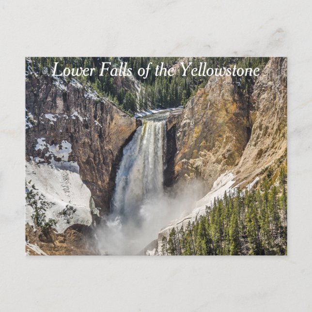 Lower Falls of the Yellowstone Postcard (Front)