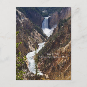 Lower Falls Yellowstone Postcard