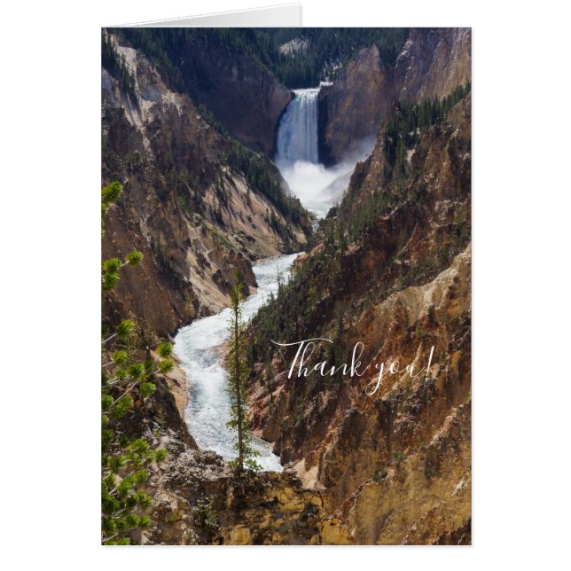 Lower Falls Yellowstone Thank You Card (Front)
