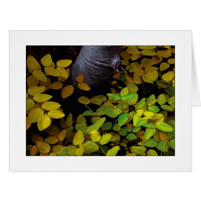 "Lower Leaf Level" Cards (Front Horizontal)