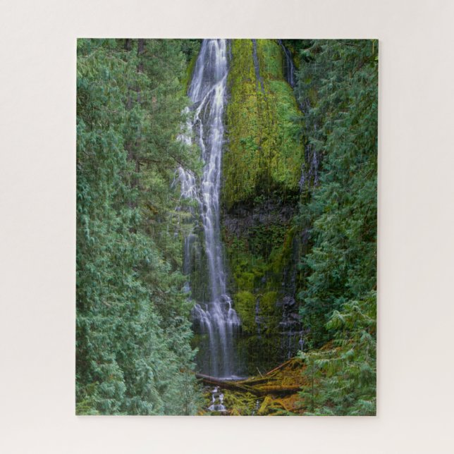 Lower Proxy Falls | Willamette National Forest Jigsaw Puzzle (Vertical)