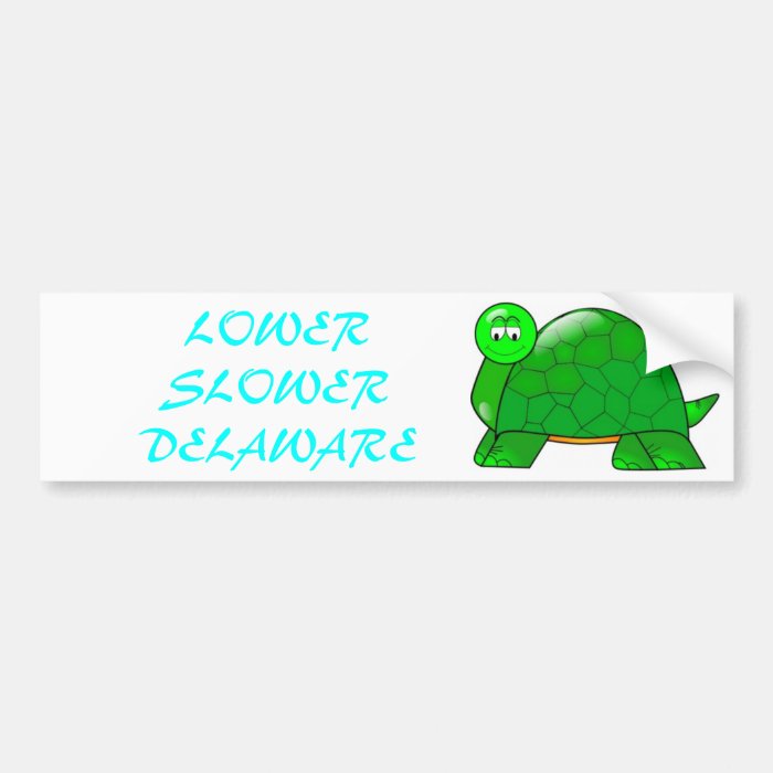 Lower Slower Delaware Bumper Stickers