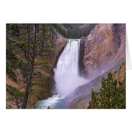 Lower Yellowstone Falls, Grand Canyon of Cards (Front Horizontal)