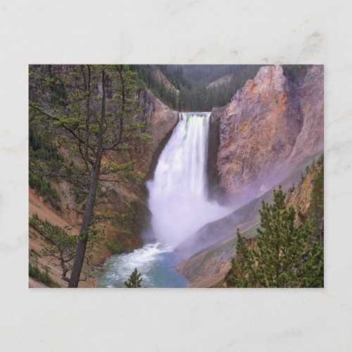 Lower Yellowstone Falls Grand Canyon of Postcard